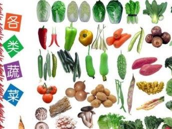 广州鸿利饮食 一站式团体餐与食材配送服务专家